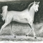 Pferdeportrait