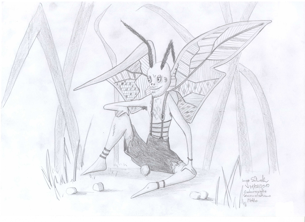 Stummelschwanz Motte